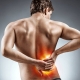Chronic Low Back Pain